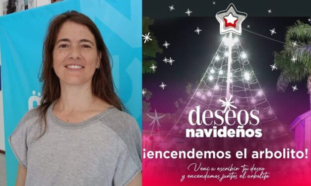 El 8 de diciembre se enciende el arbolito y las instituciones trabajan en DESEOS NAVIDEÑOS COLECTIVOS