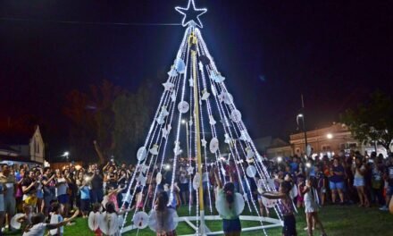 Se encendió el arbolito de Navidad, y este año también brilla el árbol de las 5 Esquinas