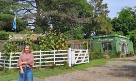 «Germina» Vivero Jardín transforma su frente en un paseo para jugar y aprender sobre plantas y medio ambiente