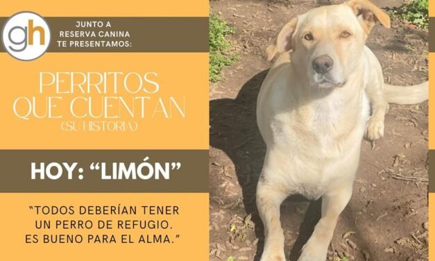 «Todos deberían tener un perro de refugio… Es bueno para el alma»