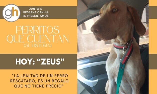 Adoptar no es sólo dar un hogar… es devolverle sentido a una vida