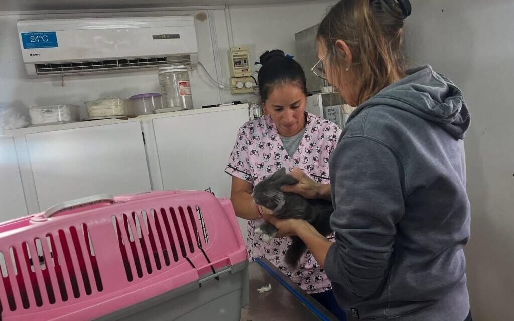 Reserva Canina: este miércoles 4, primera jornada de vacunación, y castración masiva el sábado 7