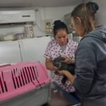 Resaerva Canina: este miércoles 4, primera jornada de vacunación, y castración masiva el sábado 7