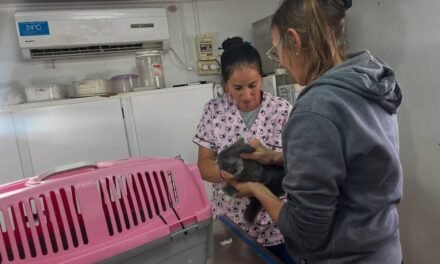 Resaerva Canina: este miércoles 4, primera jornada de vacunación, y castración masiva el sábado 7
