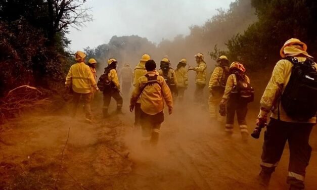 Intenso trabajo de brigadistas santafesinos en la cooperación interjurisdiccional para controlar el fuego en Chubut