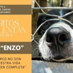 «Los perros no son toda nuestra vida, pero la hacen completa»