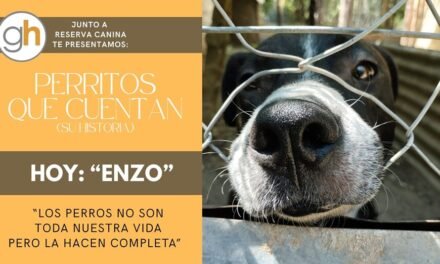 «Los perros no son toda nuestra vida, pero la hacen completa»