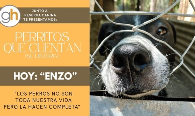 «Los perros no son toda nuestra vida, pero la hacen completa»
