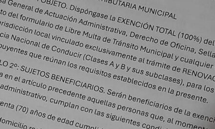 Banca Ciudadana: presentan proyecto para que la licencia de conducir sea gratuita para mayores de 70 años