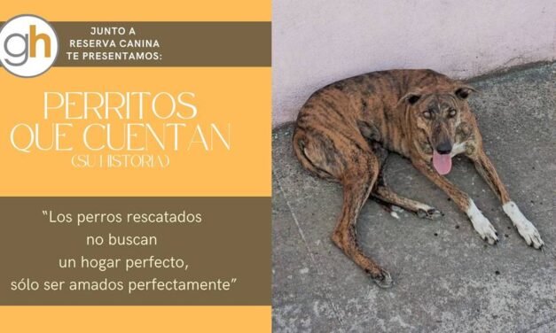 «Los perros rescatados no buscan el hogar perfecto, sólo ser amados perfectamente»