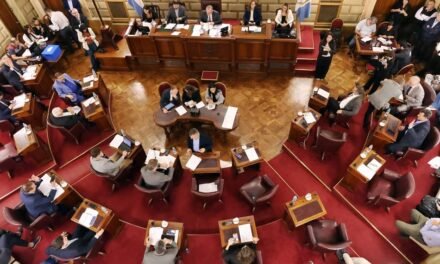 El Senado sancionó la Ley de Municipios y avanzó en proyectos sobre educación