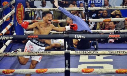 Fajardo venció por KO a Reyes en el primer round y peleará por el título mosca de la FIB