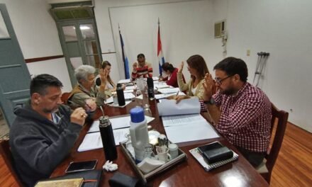 El Concejo Municipal aprobó la regulación de salas maternales multiedad