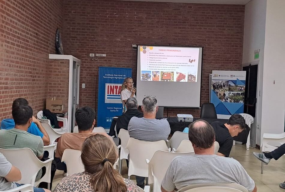 INTA Gálvez: se desarrolló capacitación para preparar las colmenas de cara al invierno