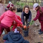 «Manos a la tierra»: alumnos del Colegio del Calvario continúan desarrollando el proyecto «Un metro cuadrado de árboles nativos»