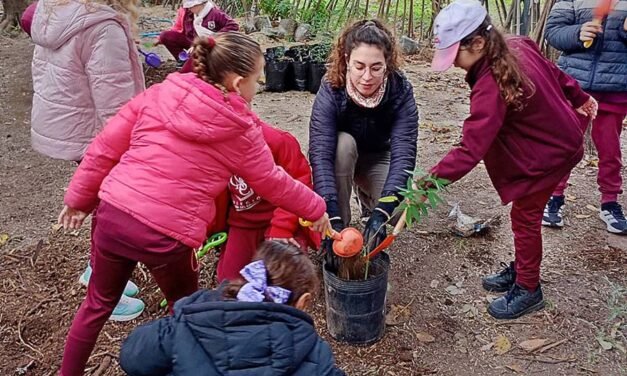 «Manos a la tierra»: alumnos del Colegio del Calvario continúan desarrollando el proyecto «Un metro cuadrado de árboles nativos»