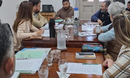 Concejo: los temas del día y nueva presentación a través de Banca Ciudadana