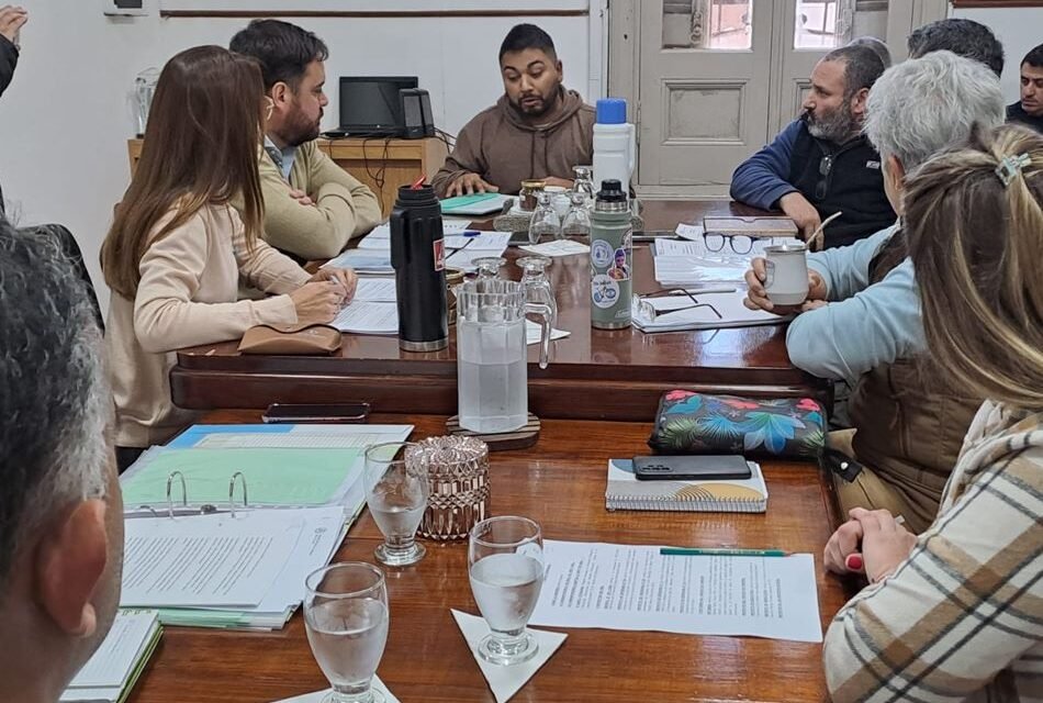 Concejo: los temas del día y nueva presentación a través de Banca Ciudadana