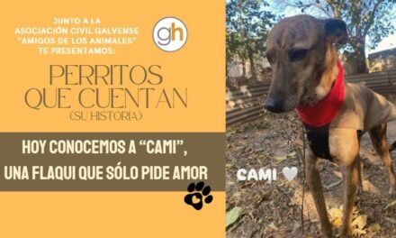 “Los perros no son toda nuestra vida, pero la completan”