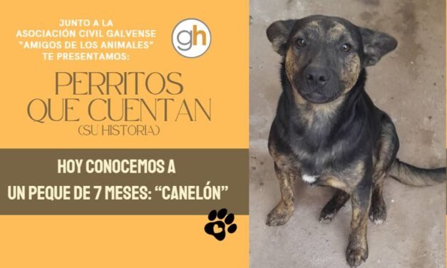 «No eligió vivir en la calle, pero hoy sí elige darte todo su amor»
