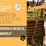 «ADOPTAR NO ES EL CAMINO FÁCIL, SINO EL CORRECTO»