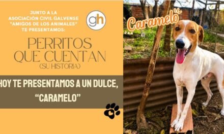 «ADOPTAR NO ES EL CAMINO FÁCIL, SINO EL CORRECTO»