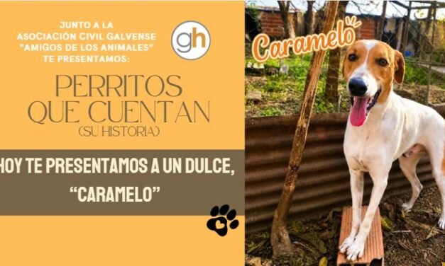 «ADOPTAR NO ES EL CAMINO FÁCIL, SINO EL CORRECTO»
