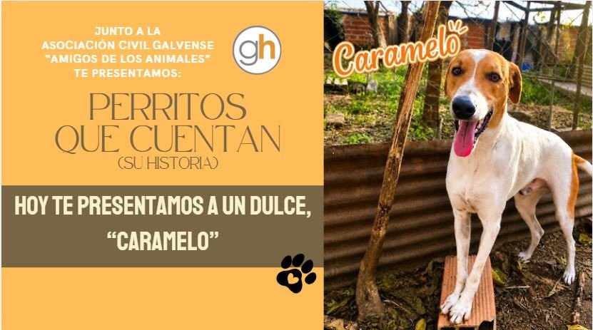 «ADOPTAR NO ES EL CAMINO FÁCIL, SINO EL CORRECTO»