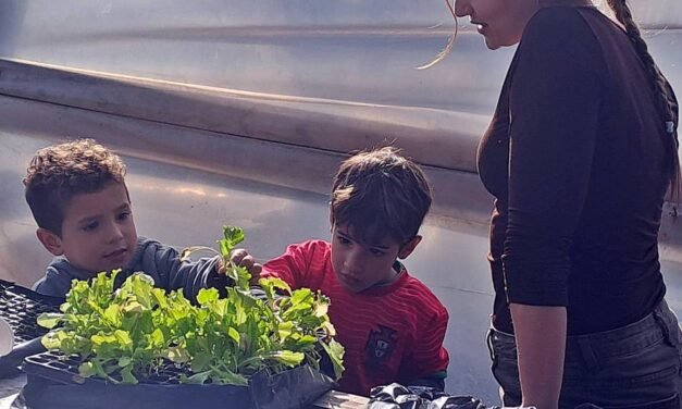 VACACIONES: CON ACTIVIDADES DE HUERTA, AVISTAJE DE AVES Y JUEGOS, EL VIVERO MUNICIPAL CONVOCA A LAS FAMILIAS