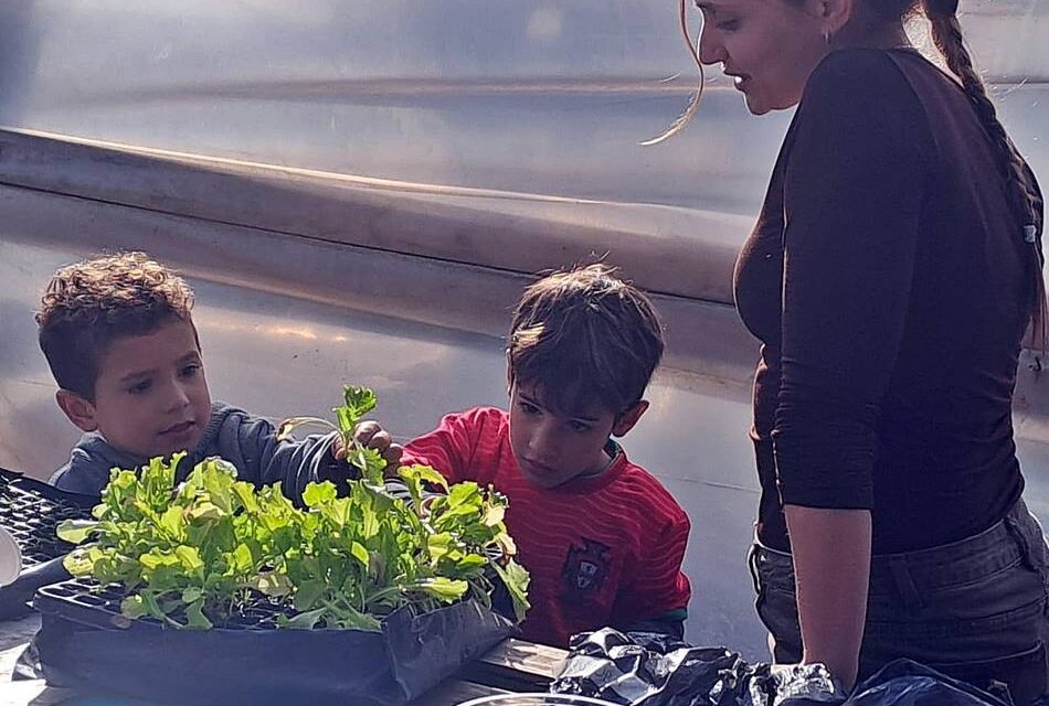 VACACIONES: CON ACTIVIDADES DE HUERTA, AVISTAJE DE AVES Y JUEGOS, EL VIVERO MUNICIPAL CONVOCA A LAS FAMILIAS