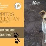 «El amigo de tu vida lleva meses esperando que cruces esa puerta»