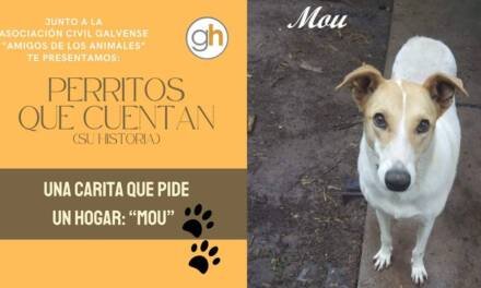 «El amigo de tu vida lleva meses esperando que cruces esa puerta»
